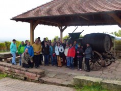 mitten in den Weinbergen von St. Martin